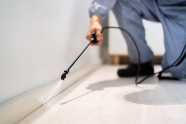 Professional exterminator conducting IPM assessment in Camano